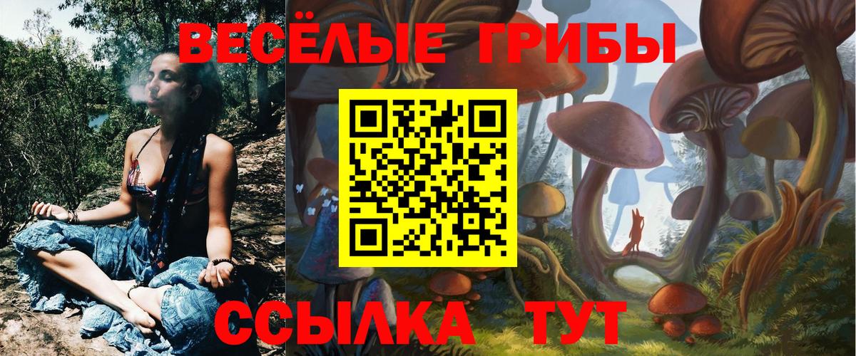Вольск  Галлюциногенные грибы мухоморы  Вход с VPN 